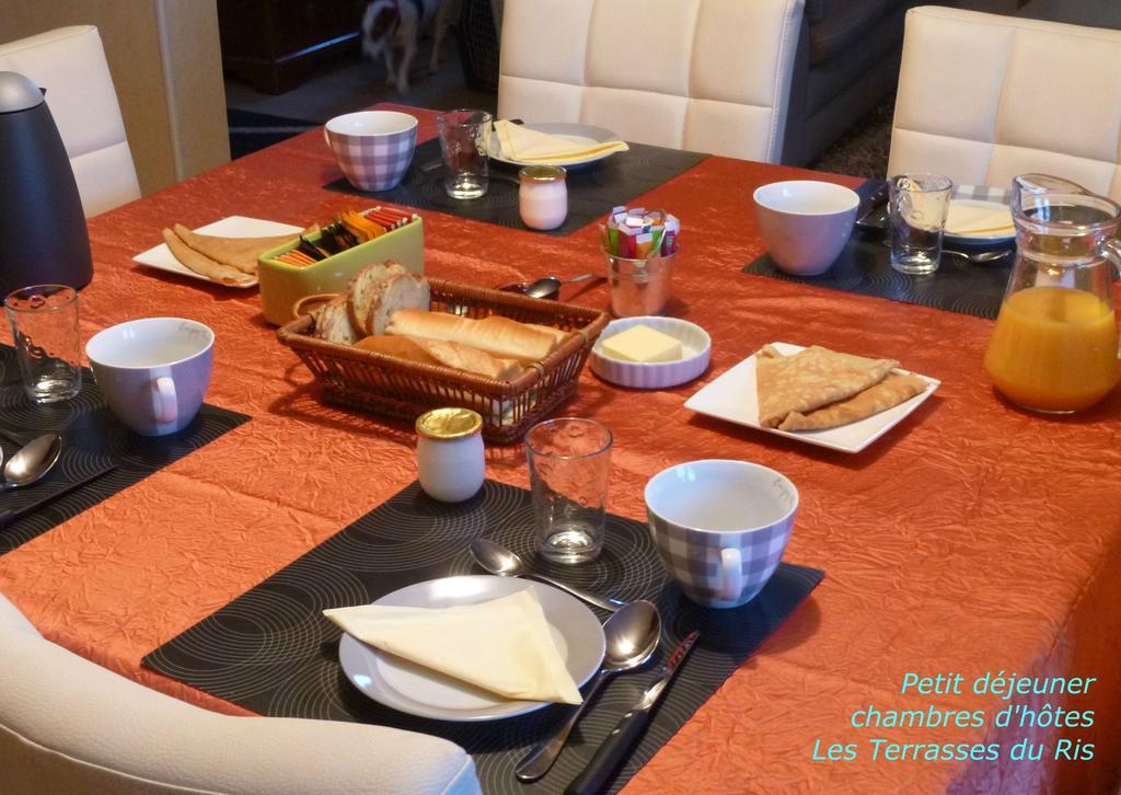 Les Terrasses Du Ris Bed & Breakfast Дуарнене Екстериор снимка